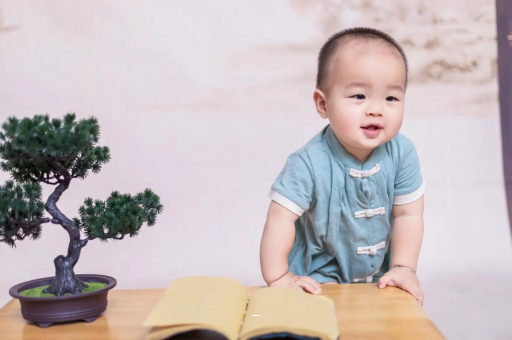 射洪可爱的企鹅宝宝